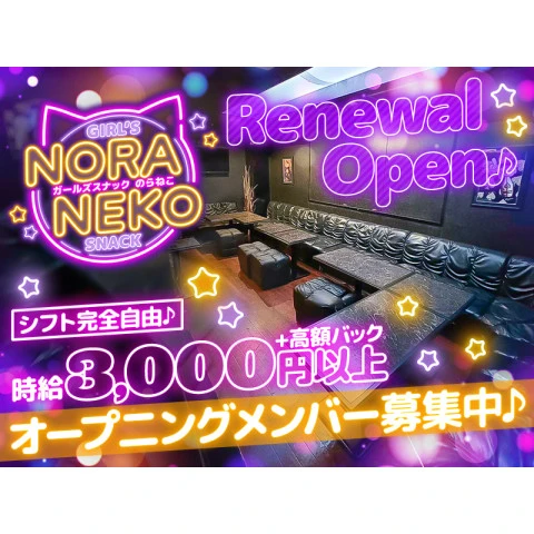 東京都江戸川区のスナック「NORANEKO」