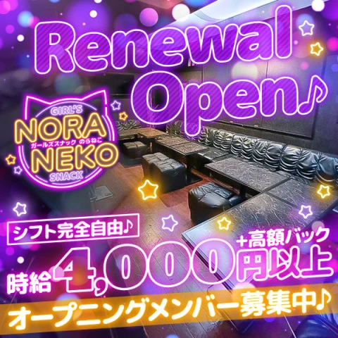 東京都江戸川区のスナック「NORANEKO」