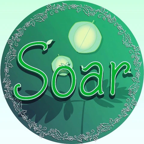 Soar